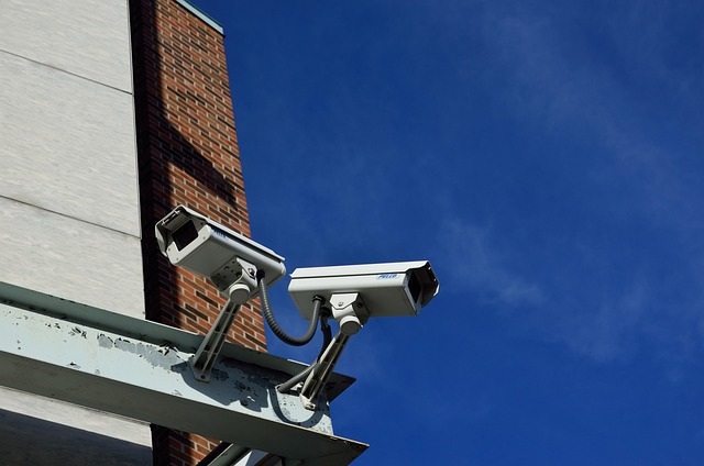 Sicherheit & Solarkameras im Vergleich: Alternativen, Vor- und Nachteile im Test